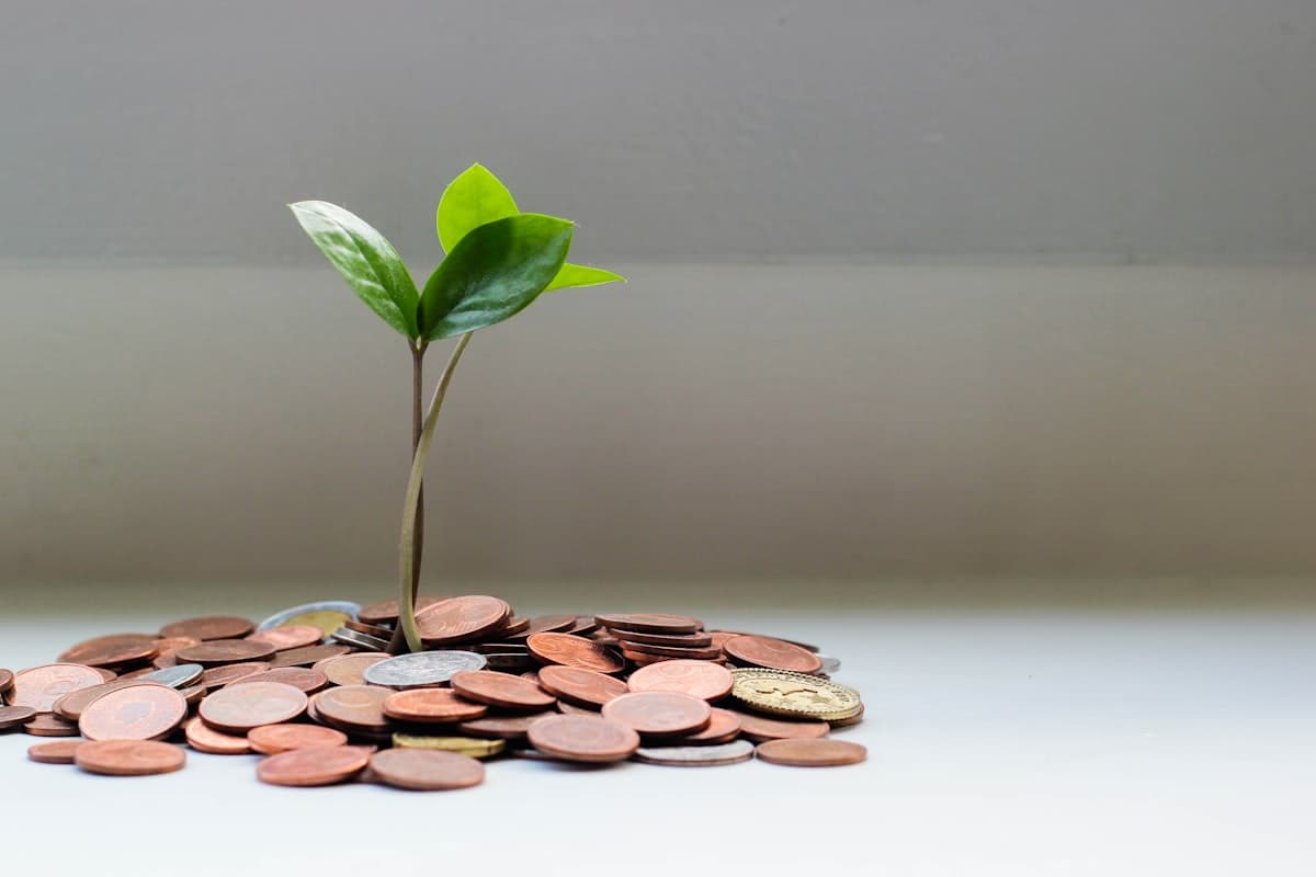Targeted Support: The New Advice Framework for Pensions and Investments